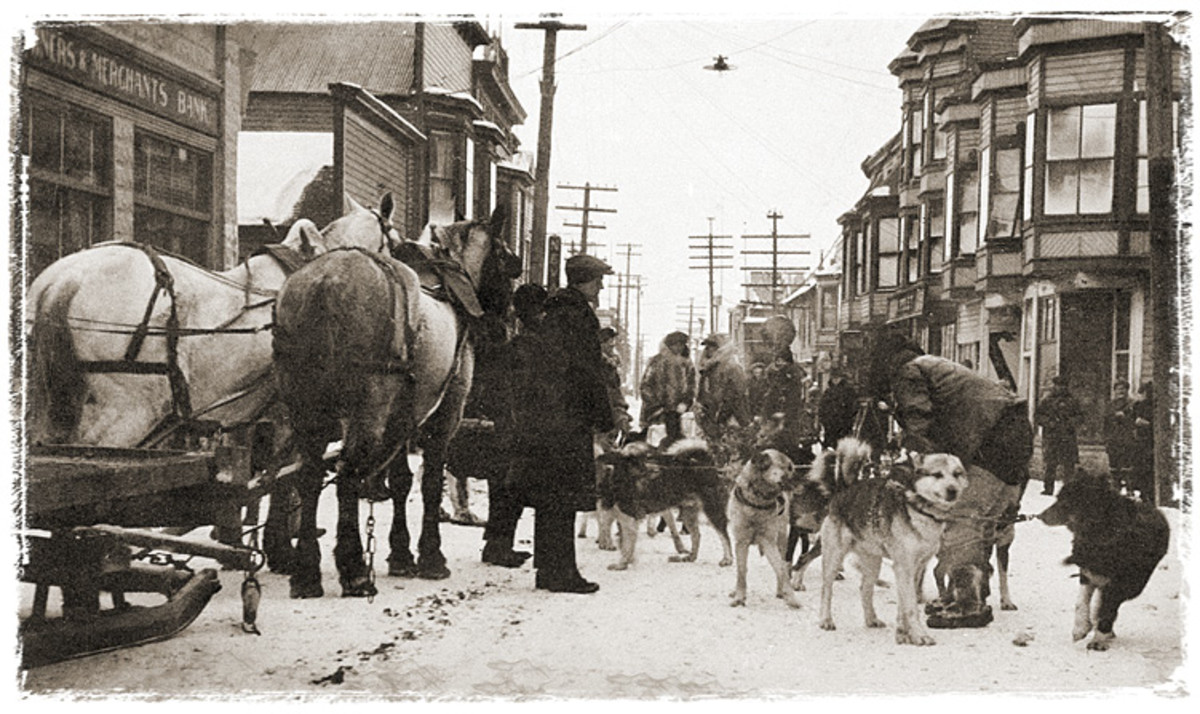 WALKOFF, NOME RUN
Arriving at the end of the relay five and a half days after it began, Kaasen is said to have staggered off his sled and declared to Balto: “Damn fine dog.”
